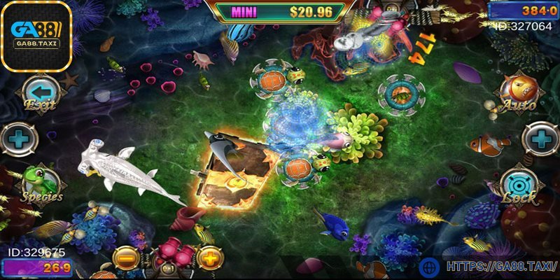 Chỉ khai hỏa khi nắm chắc cơ hội