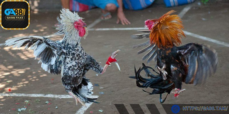 Quản lý tài chính chặt chẽ