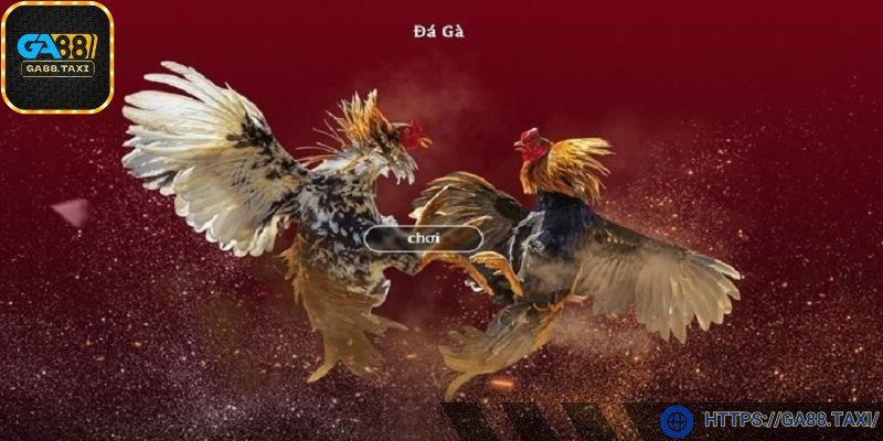 Ban tổ chức có quy định rõ ràng về các chiến kê