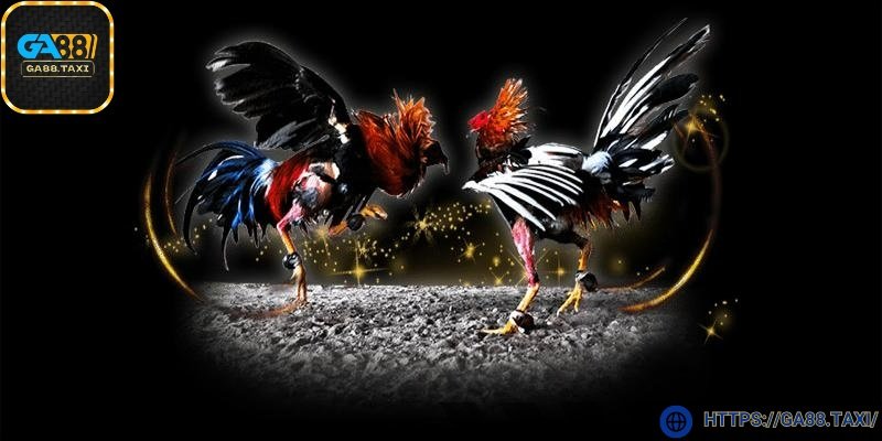 Hình thức chơi mang đến trải nghiệm hồi hộp từng giây