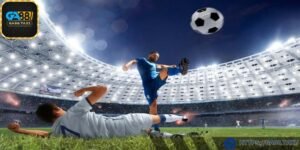 Hãy kết hợp giữa chuyên môn và thông tin ngoài lề