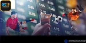 Một số loại cược phổ biến